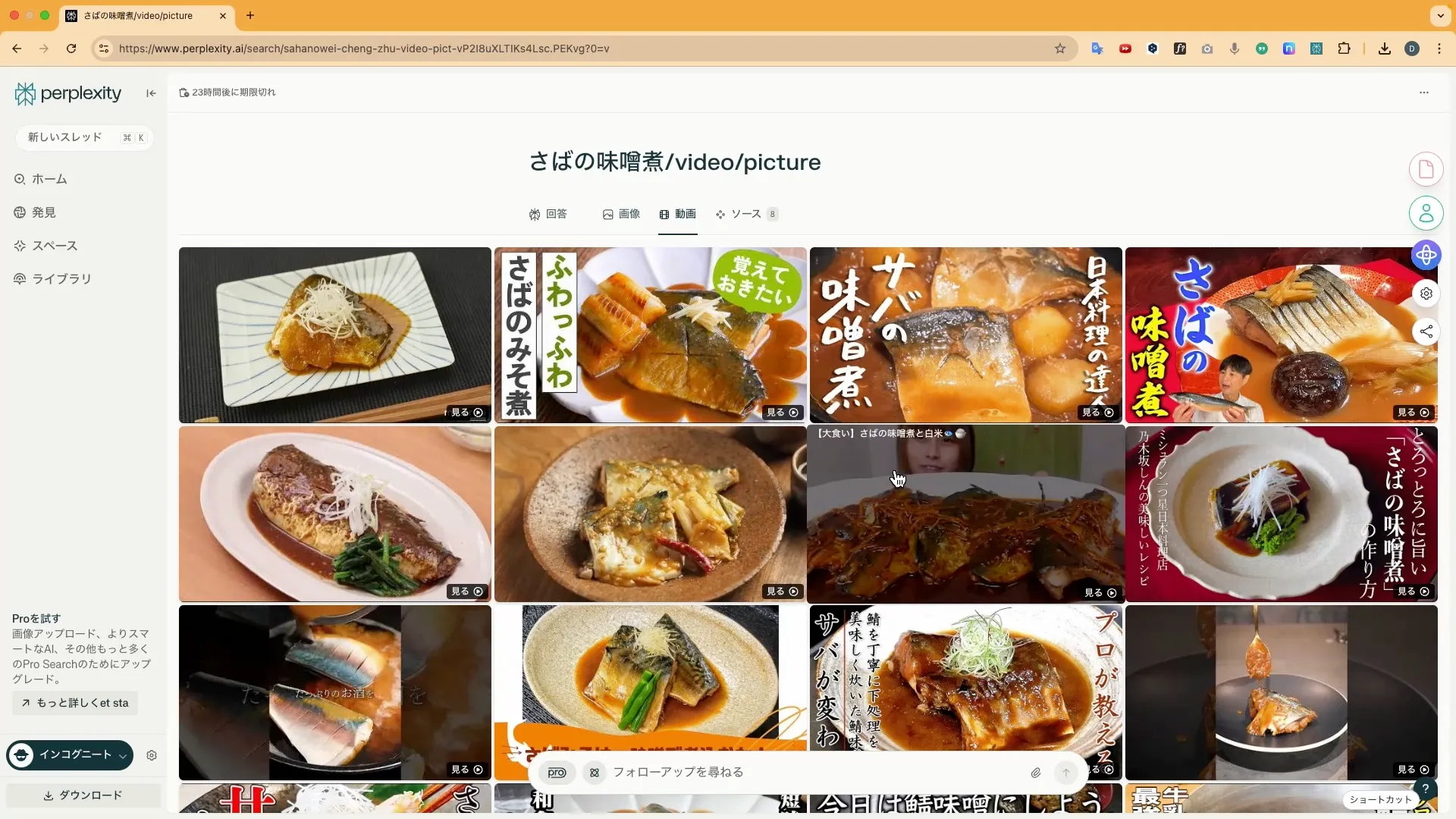 ビジネスワーカーコースPerplexity入門チャプター3_1